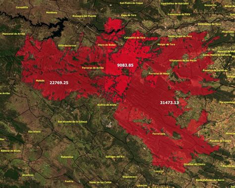 Los Incendios De La Sierra De La Culebra Cepas De La Culebra