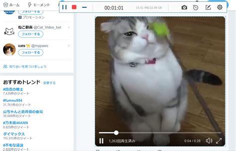 【pc編】twitterからライブ動画を録画して保存する方法