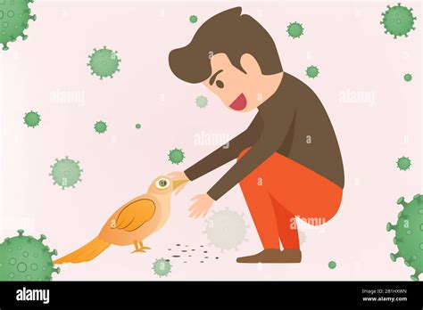 Avian Flu Infographic Elements Bird Flu Disease Discussion On Bird