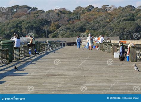 Myrtle Beach State Park South Carolina Editorial Stock Image Image