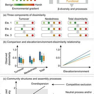 Pdf Multiple Diversity Patterns And The Underlying Mechanisms