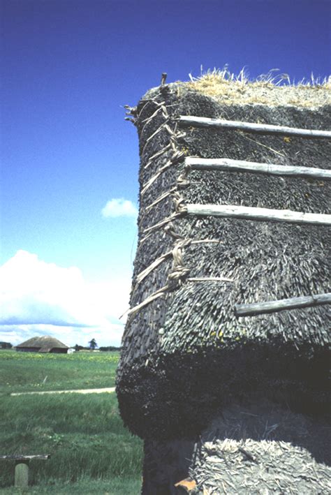 La bourrine architecture rurale en bauge et couverture végétale dans