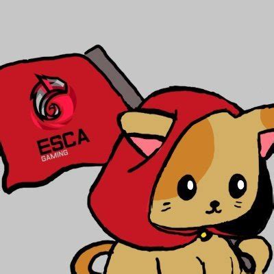 Team ESCA Gaming on Twitter A nasz skład na przyszły sezon ultraliga