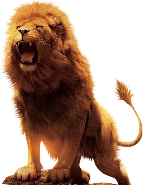 Lion Png Image With Transparent Background Imagens De Leao Animais Images