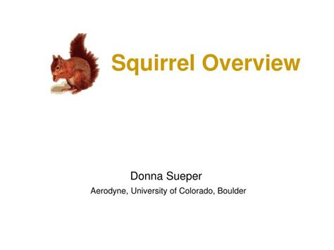 Ppt Squirrel Overview Powerpoint Presentation Free Download Id3288137