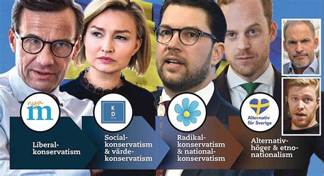 Sex Skäl Därför Måste De Liberala Stoppa Sd