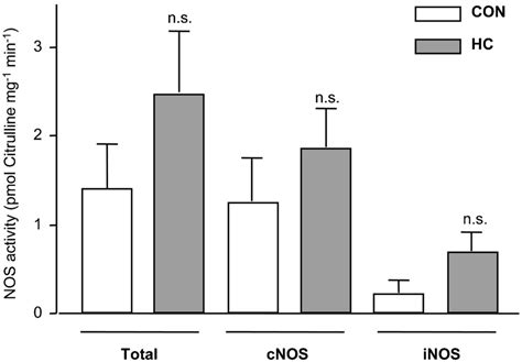 NOS Activity Measured In Homogenates Of Intact Aortas Of Control CON