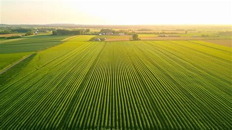 Ai Generated Aerial View Captures Large Lush Green Field With Crops