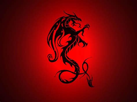 Neon Dragon Wallpapers - Top Free Neon Dragon Backgrounds - WallpaperAccess