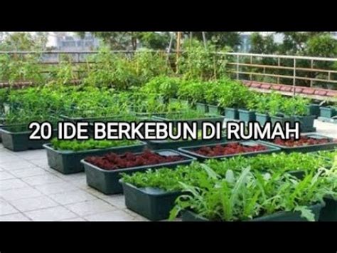 Ide Berkebun Di Pekarangan Rumah Youtube