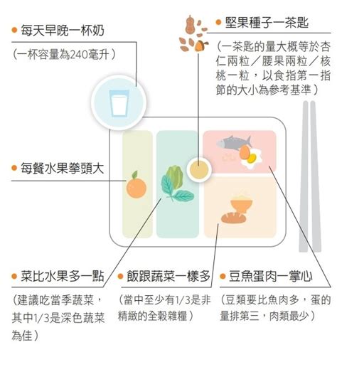 「地中海飲食」到底怎麼吃？「我的餐盤」口訣教你補足營養｜大腦健康｜失智｜元氣網