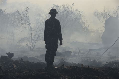 Indonesia aims to slash forest fires by half | The ASEAN Post