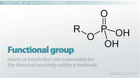 Monosaccharide Chemical Structure