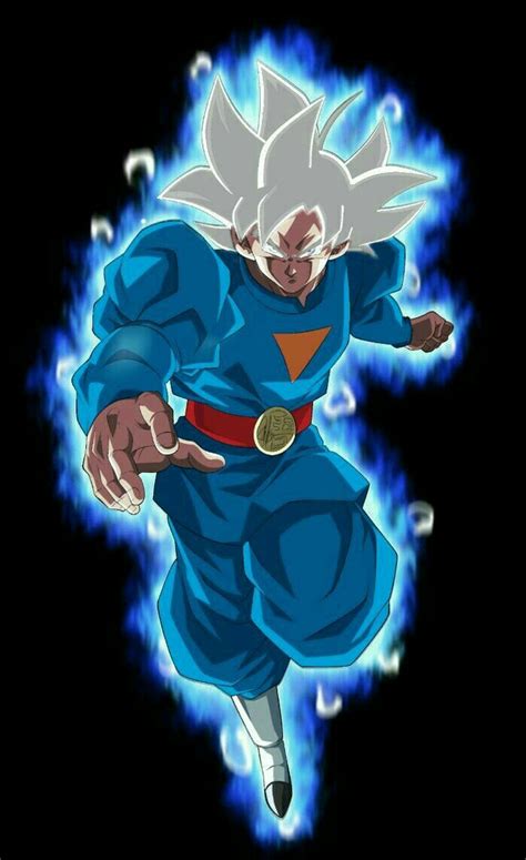 Goku Grand Priest Training Mastered Ultra Instinct Anime Dragon Ball