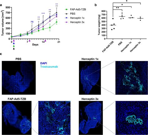 Nci N87 Cell Lines Atcc Bioz