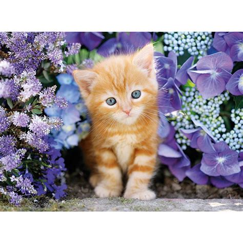 Clementoni Puzzle 500 Pièces Chaton Roux Au Milieu Des Fleurs Pas