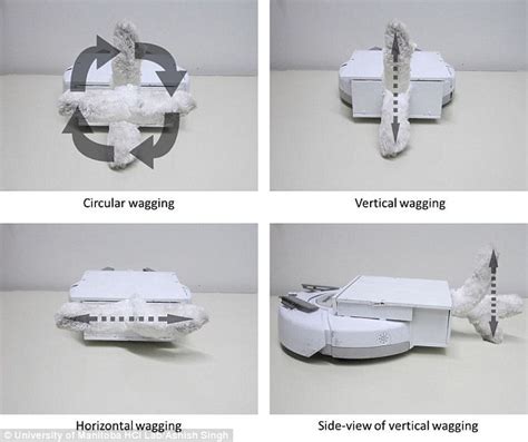 Robots with TAILS could easily communicate with humans | Daily Mail Online