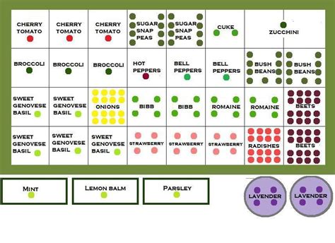 Square Foot Gardening Planting Guide | Fasci Garden