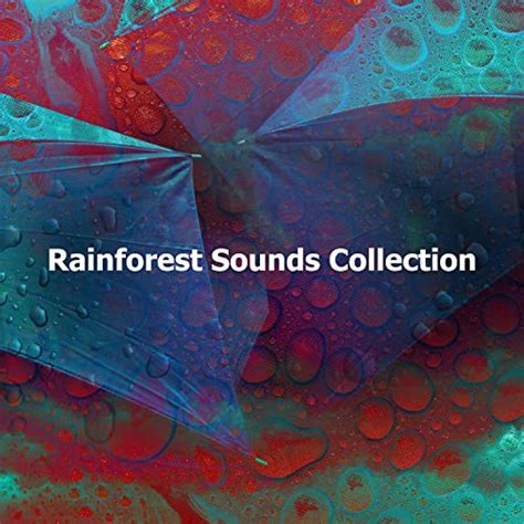 Amazon.com: Rainforest Sounds Collection : Rainforest Sounds: Digital Music