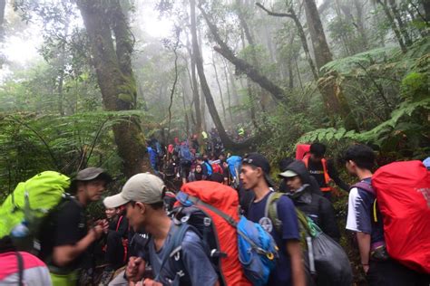 Gunung Gede Pangrango Diserbu Pendaki Jalur Pendakian Sampai Macet