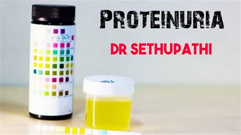 Approach To Proteinuria- Causes Pathogenesis & complications- Dr ...