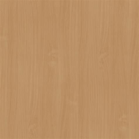 Beech Wood Colour Paint at Katie Felton blog