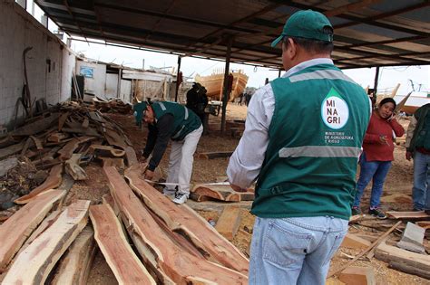 Embarcaciones Ilegales La Ruta De Los Astilleros Ojo P Blico