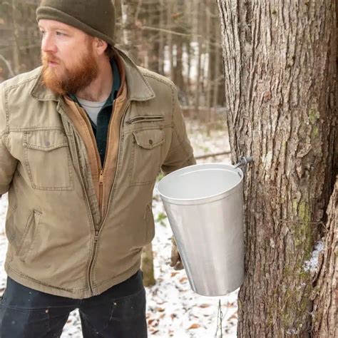 How To Collect Maple Sap Vermont Evaporator