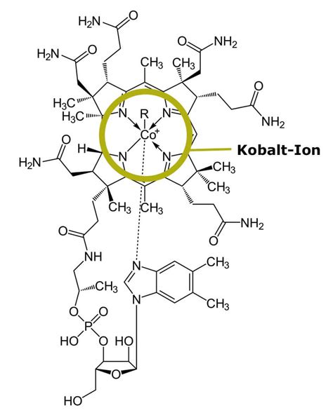 Hypercobalaminämie Mögliche Vitamin B12 Nebenwirkungen