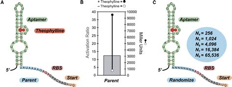 A High Throughput Screen For Synthetic Riboswitches Reveals Mechanistic