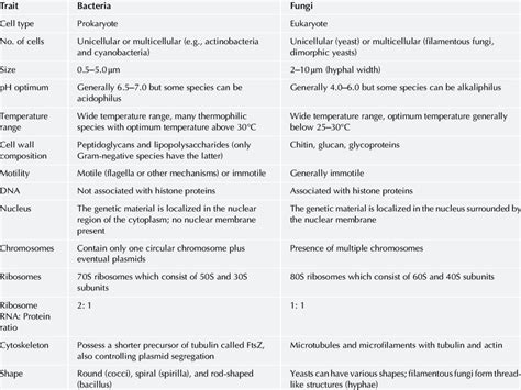 Some key differences and similarities between bacteria and fungi ...