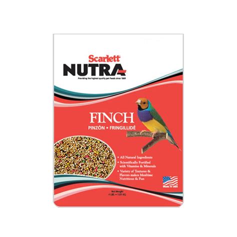 Best Finch Food Online | Healthy Food for Finches