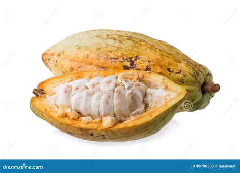 Cacao Fruit Raw Cacao Beans Cocoa Pod On White Background Stock