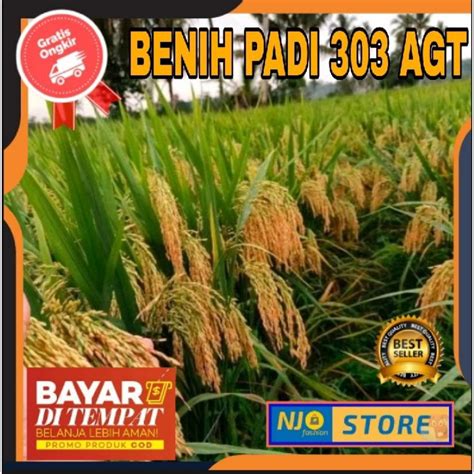 Jual Benih Bibit Padi Agt Kualitas Unggul Per Kg Shopee Indonesia