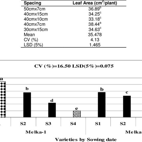 Effect of plant spacing on leaf area of green bean | Download ...