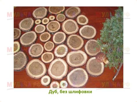 Спилы для декора и мощения, дуб - Спилы и чурбаки деревянные - купить у ...