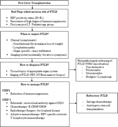 Post Transplantation Lymphoproliferative Disorder PTLD In The Liver