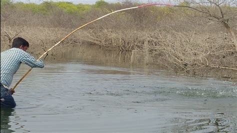 Incredible Big Rohu Fishing Unbelievable Fishing Rohu Fish Catching