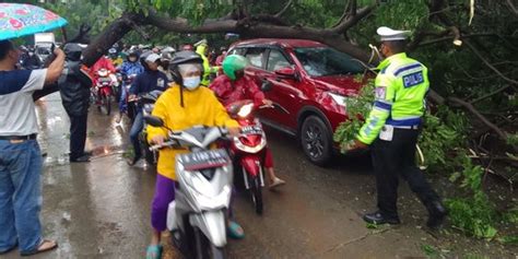 Satu Mobil Tertimpa Pohon Tumbang Saat Hujan Deras Di Jakbar Merdeka