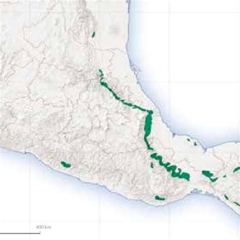 PDF Los Bosques Mesófilos de Montaña en México