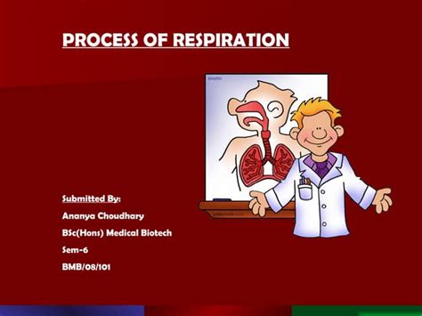 Respiratory System Ppt Ppt