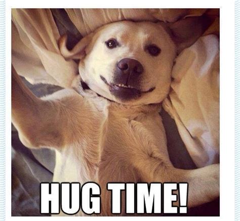 Hug Meeeee Silly Dogs I Love Dogs Happy Dogs