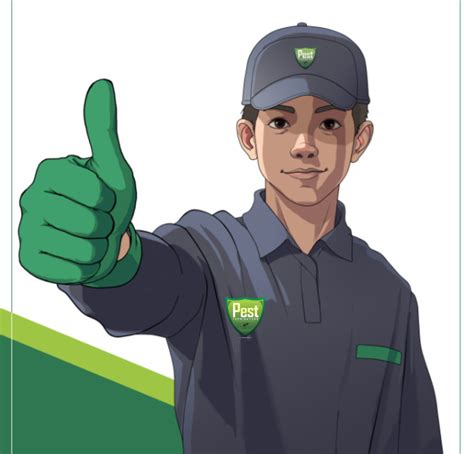 Layanan Jasa Pest Control Terbaik Jakarta Pest Terminator