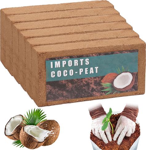 Amazon Joen Coco Coir Brick Organic Coco Coir Potting Soil For