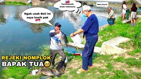 Beruntung Mancing Ikan Nila Babon Liar Di Sungai Dapat Banyak Warga