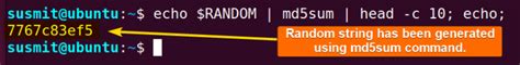How To Generate A Random String In Bash 8 Methods LinuxSimply