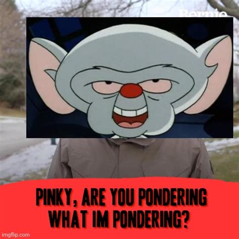 pinky and the brain Memes & GIFs - Imgflip