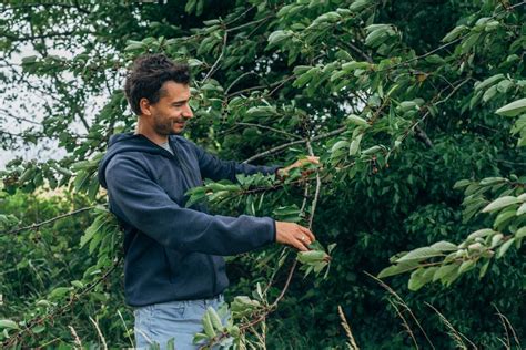 Une Cagnotte En Ligne Pour Financer Un Projet D Agroforesterie Au