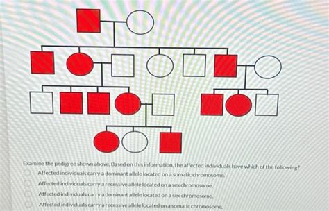 Solved Examine The Pedigree Shown Above Based On This Chegg