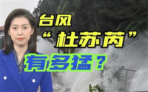 最强17级！超强级台风“杜苏芮”为什么这么猛？ 央视农业 央视农业 哔哩哔哩视频